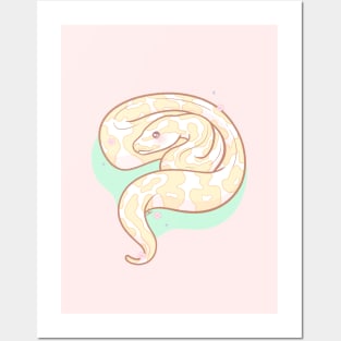 Albino Ball Python Original Illustration Posters and Art